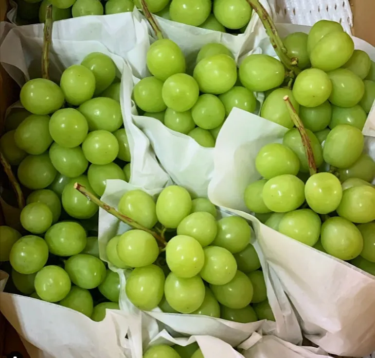 シャインマスカット