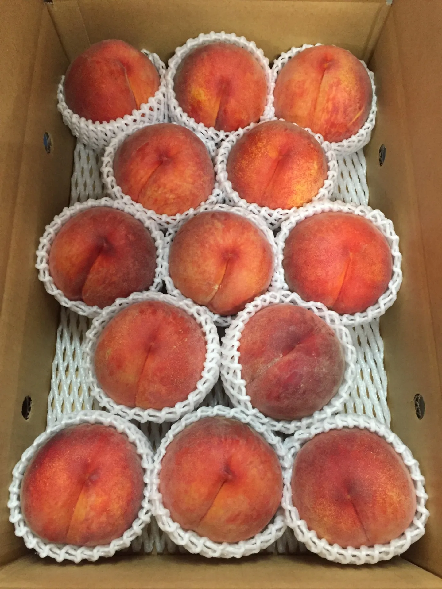 「須坂市」桃の出荷始まります